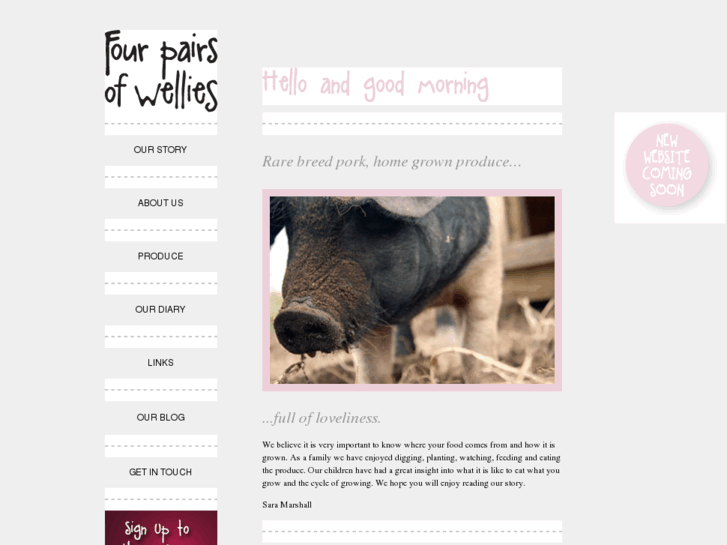 www.4pairsofwellies.com