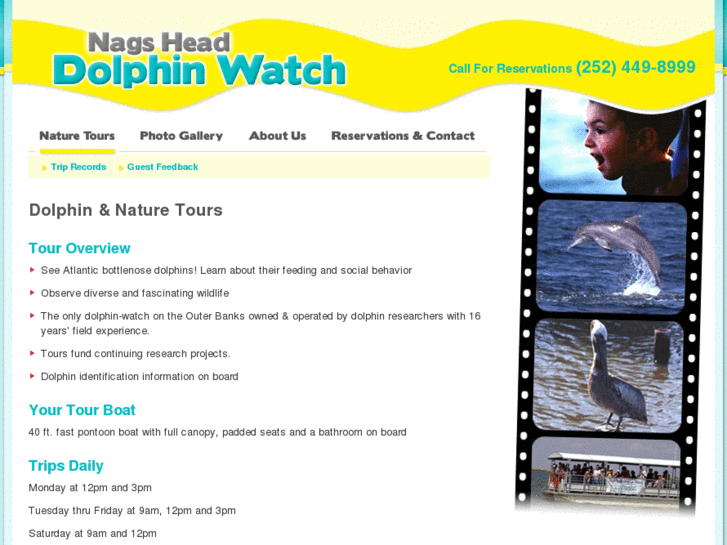 www.dolphinwatch.com