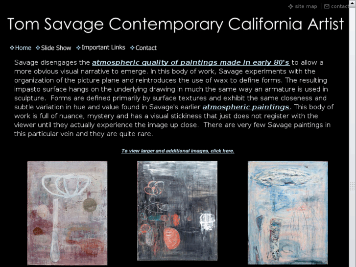 www.tomsavagecontemporaryart.com