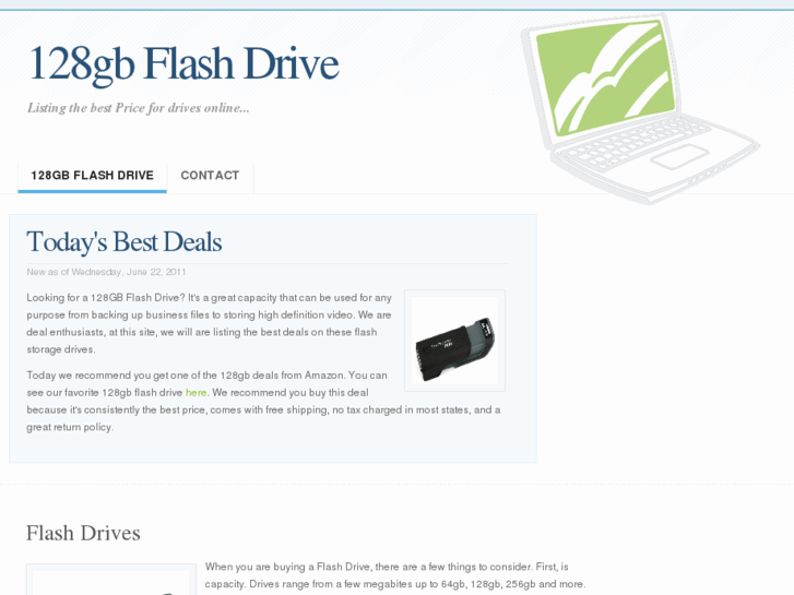 www.128gbflashdrive.net