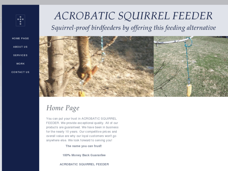 www.acrobaticsquirrelfeeder.com