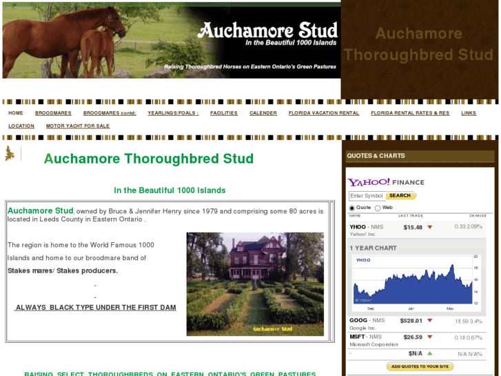 www.auchamorestud.com