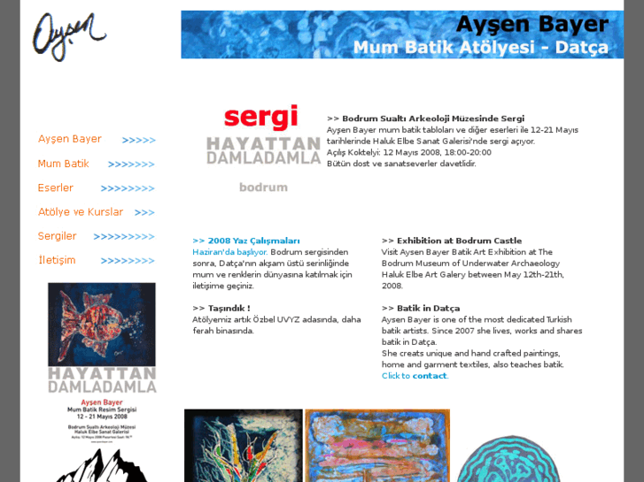 www.aysenbayer.com