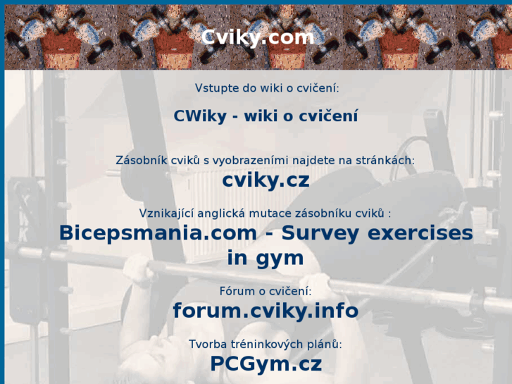 www.cviky.com