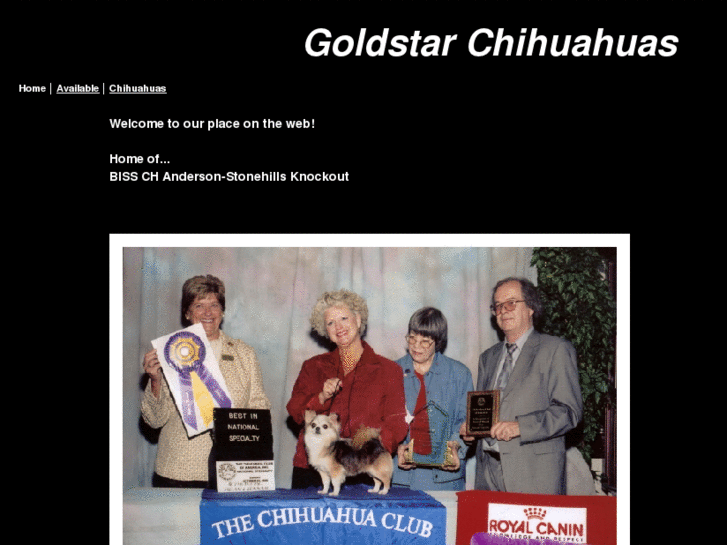 www.goldstarchihuahuas.com