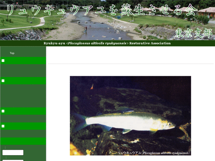 www.ryukyu-ayu.com