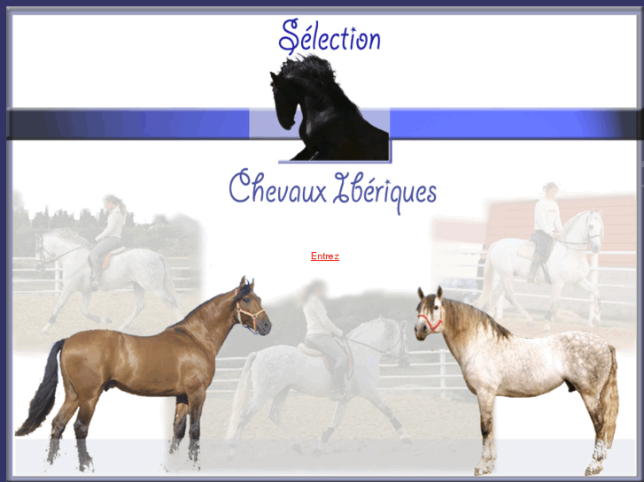 www.selection-chevauxiberiques.com