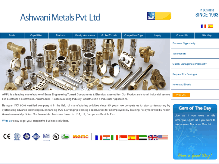 www.ashwanimetals.com