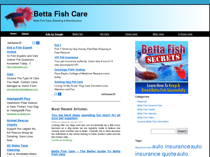 www.bettafishpets.com