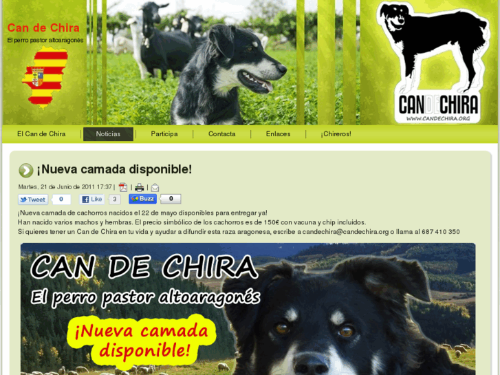 www.candechira.org