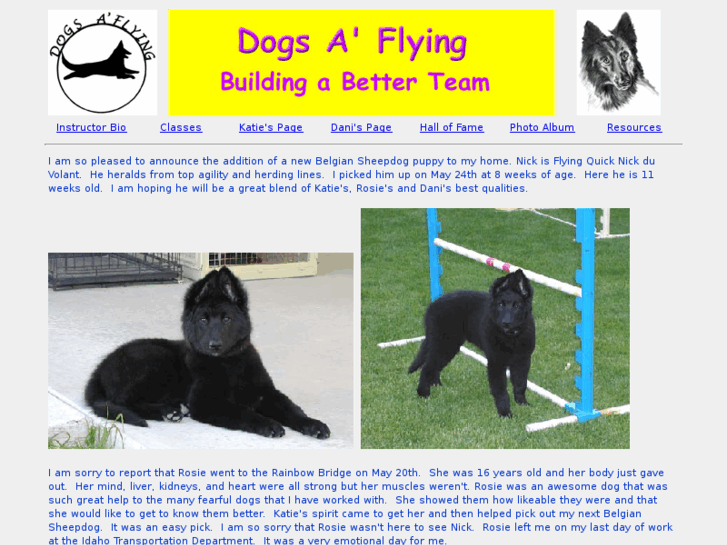 www.dogsaflying.com