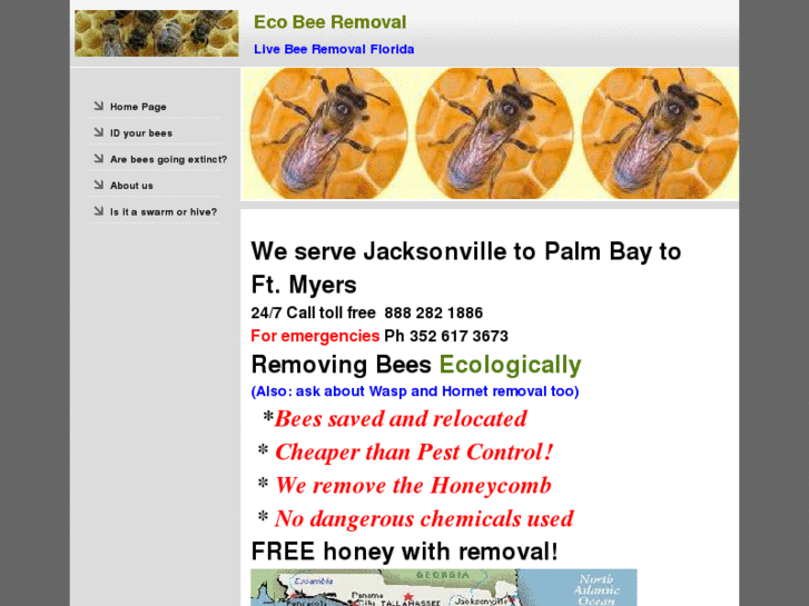 www.ecobeeremoval.com