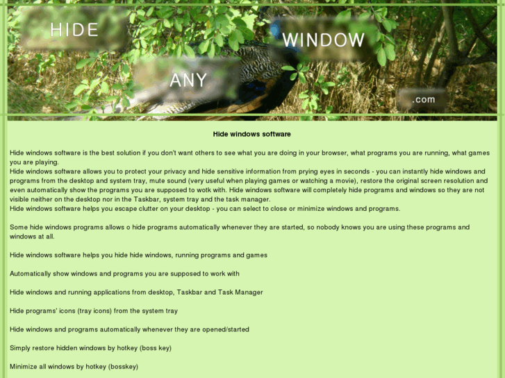 www.hideanywindow.com
