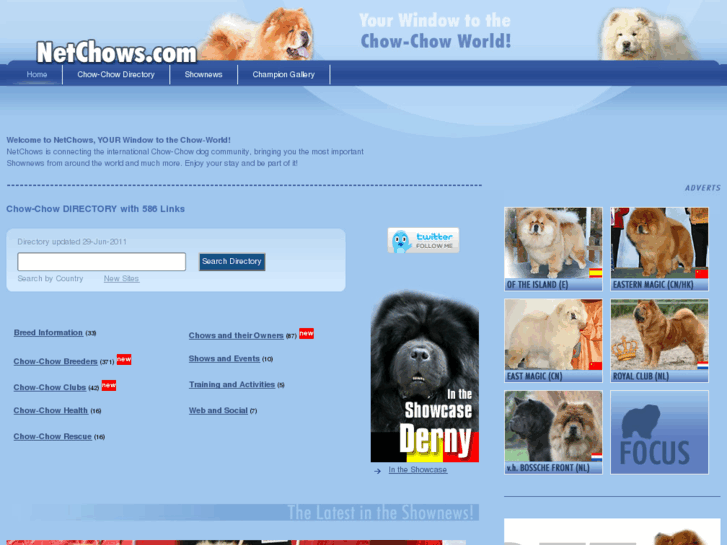 www.netchows.org