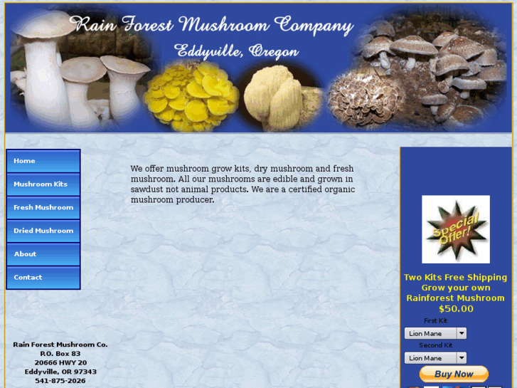 www.rainforestmushrooms.com