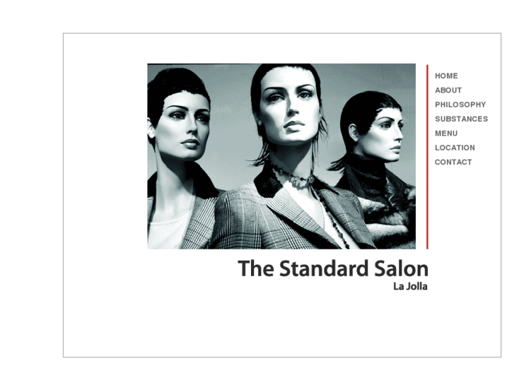 www.standardsalon.com