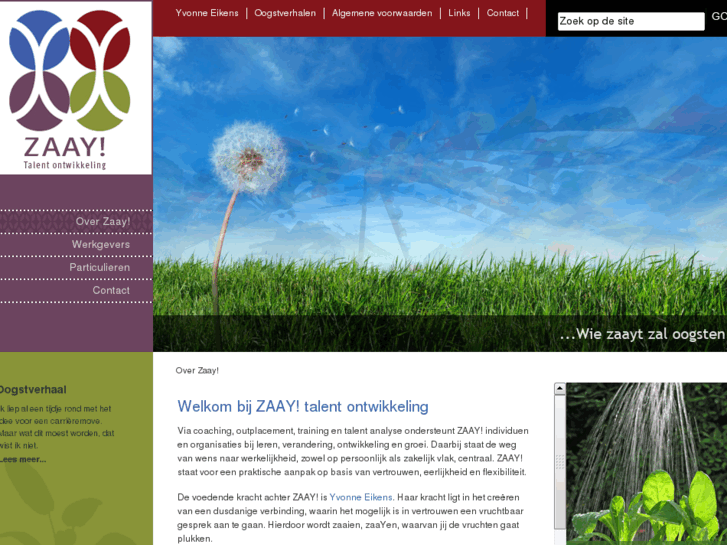 www.zaay.nl