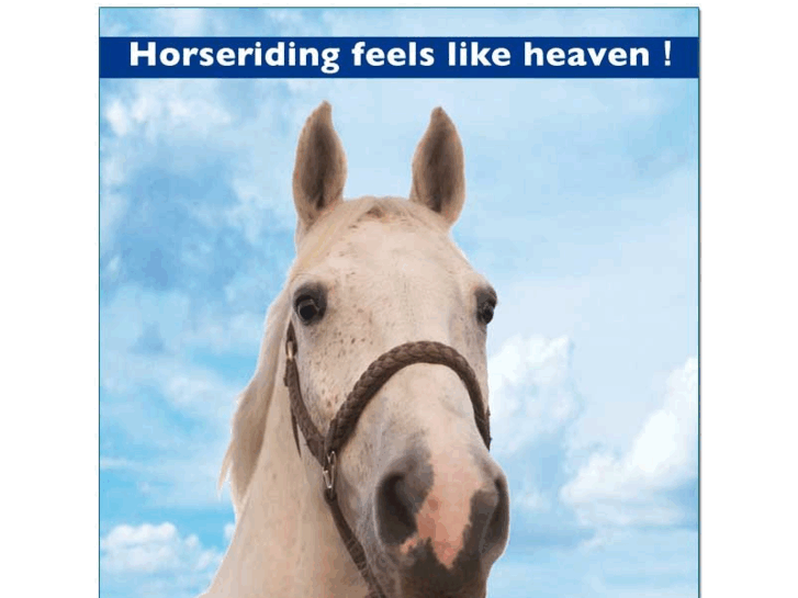 www.horsesparadise.org