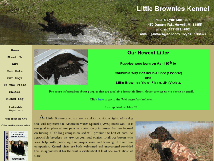 www.littlebrownieskennel.com