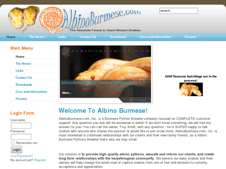 www.albinoburmese.com