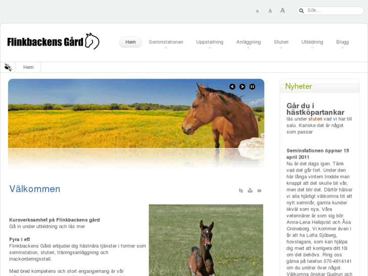 www.flinkbacken.se