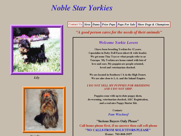 www.noblestaryorkies.net