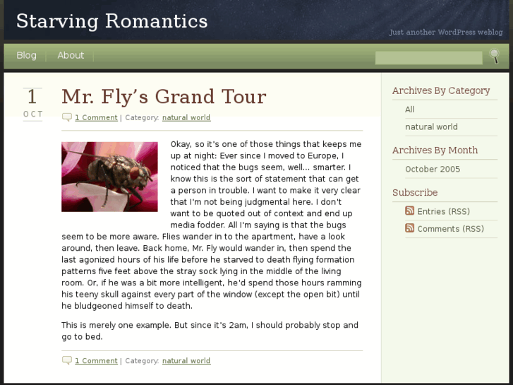 www.starvingromantics.com