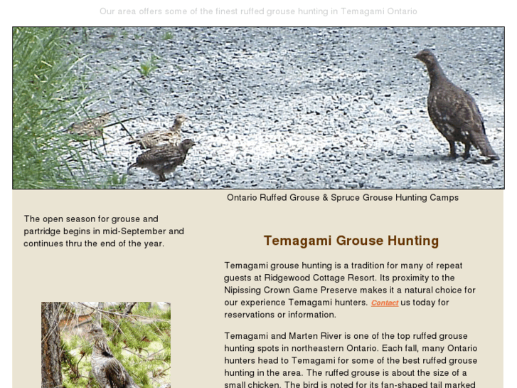 www.temagamigrousehunting.com