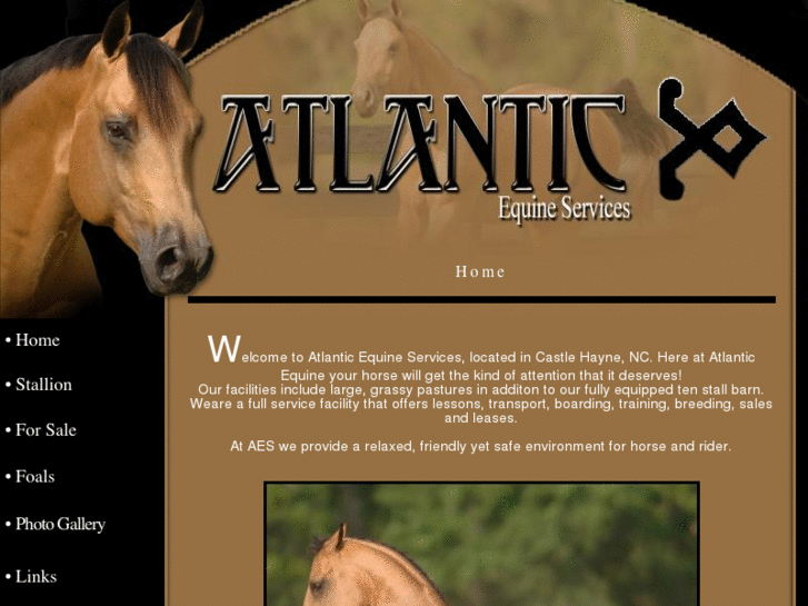 www.atlanticequineservices.com