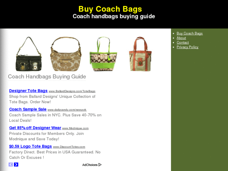 www.buycoachbags.org