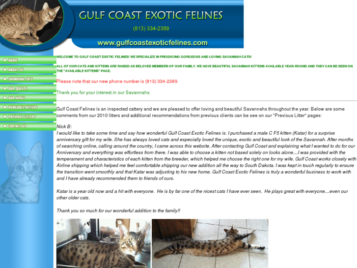 www.gulfcoastexoticfelines.com