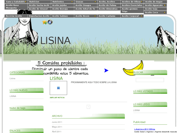 www.lisina.es