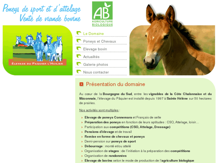 www.poneys-attelage-bourgogne.fr