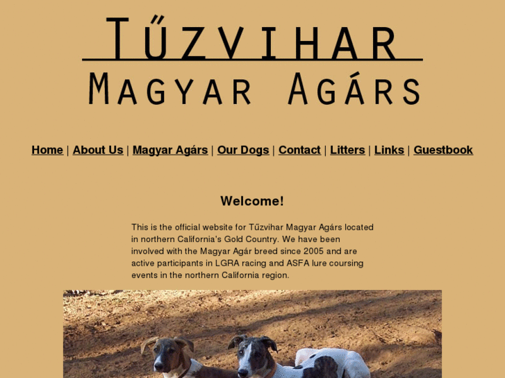 www.tuzviharhounds.com