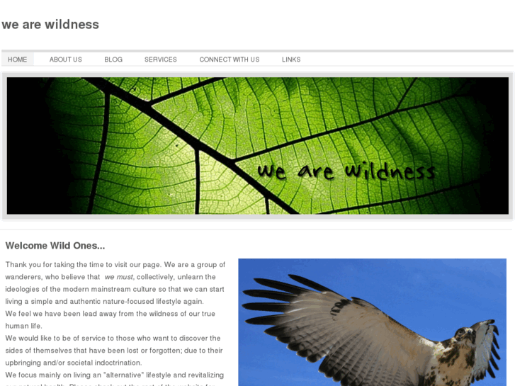 www.wearewildness.com