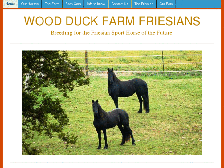 www.woodduckfarmfriesians.com