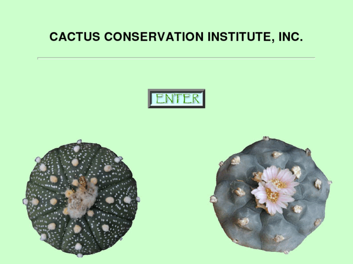 www.cactusconservation.org