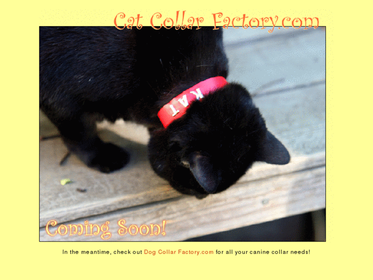 www.catcollarfactory.com