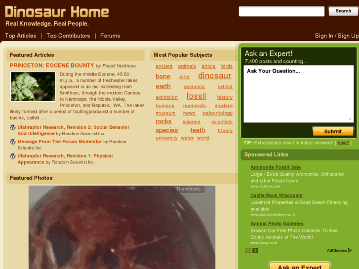 www.dinosaurhome.com