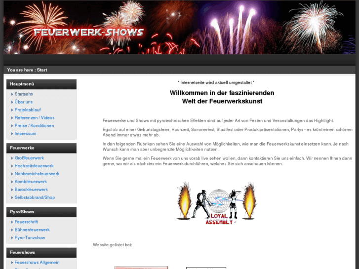 www.feuerwerk-shows.de