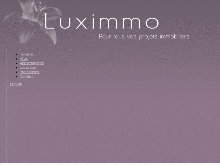 www.luximmo-leandri.com