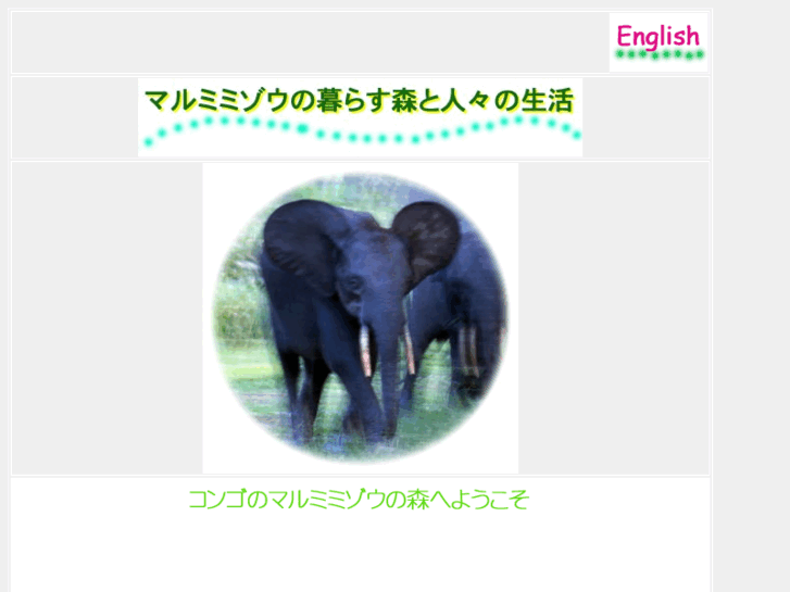 www.marumimizou.com