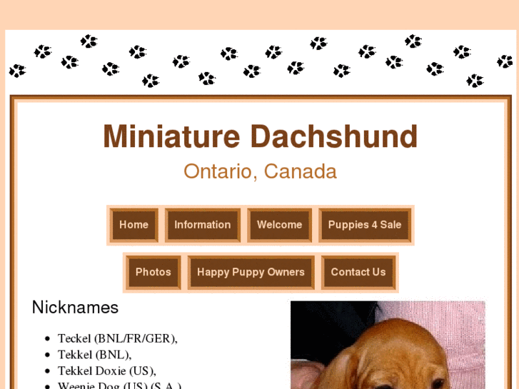 www.miniaturedachshundlove.ca