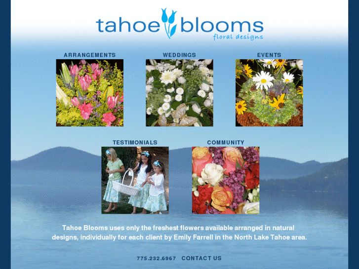 www.tahoeblooms.com