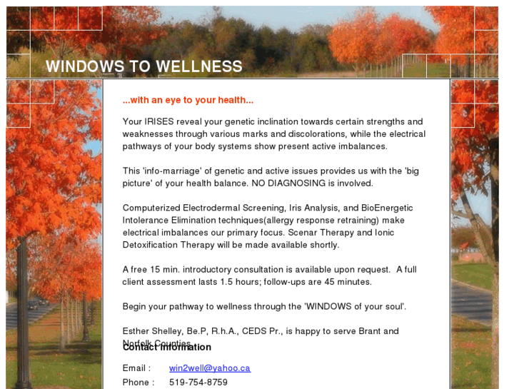 www.windows2wellness.com