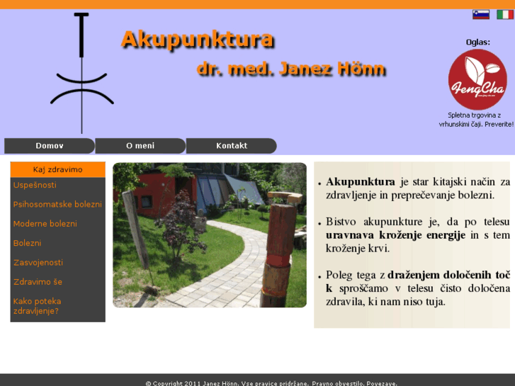 www.akupunktura-janezhonn.com