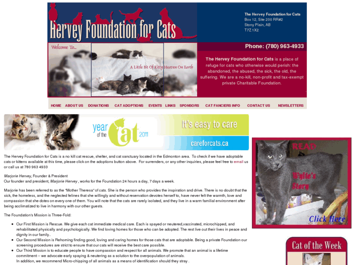 www.herveycats.com