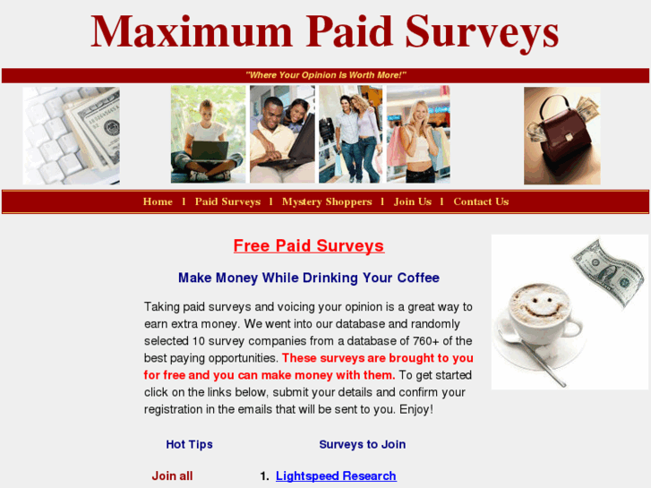 www.professionalpaidsurveys.com