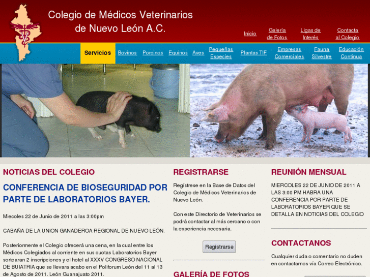 www.veterinariosnuevoleon.com