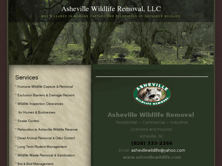 www.ashevillewildlife.com